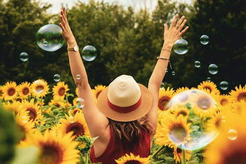 SUNFLOWERS and BUBBLES