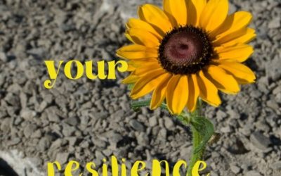 YOUR RESILIENCE DESERVES TO BE CELEBRATED